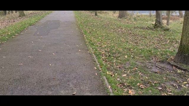 Stanley Park - Blackpool смотреть онлайн