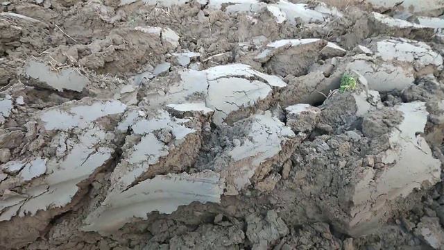 Херсонская область