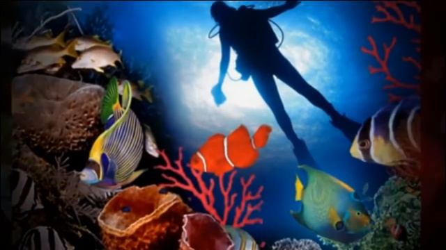 Andaman Islands, Scuba Diving Exploring the Coral Reefs смотреть онлайн