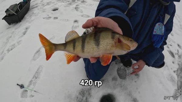 Зимняя рыбалка на безмотылку на протоке р. Оки и реке Проня.