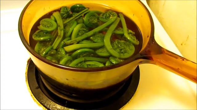 Fiddleheads N Moose T-Bone, Eggs With NDN Joe