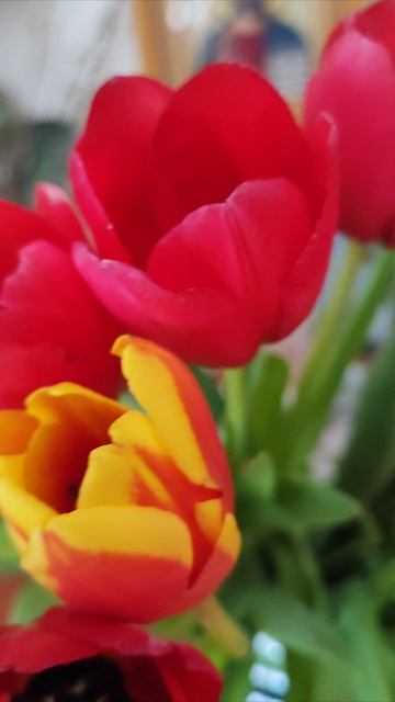 Доброй Весны! смотреть онлайн