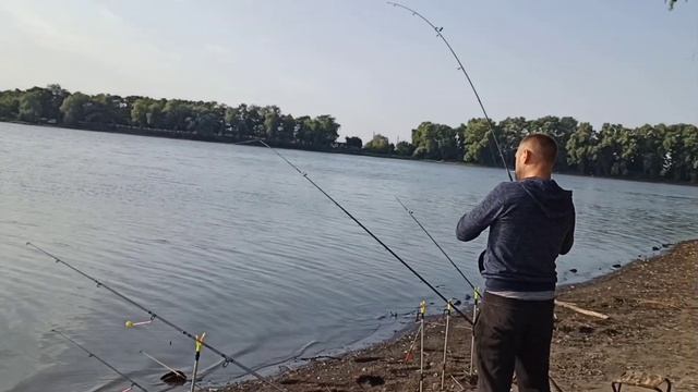 Рибалка на ставку "Ісиво", серія #4, Короп на 5 кг!!! "Ісівна":) на свяяяязііі:) смотреть онлайн