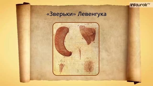 2. Устройство увеличительных приборов смотреть онлайн