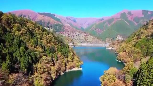 Доброе дело вместе \ Бракоделы- я мыла бабу Галю и Лилю \ День Бомжа смотреть онлайн