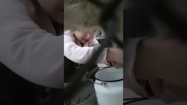 Доярка с Тимофеевки