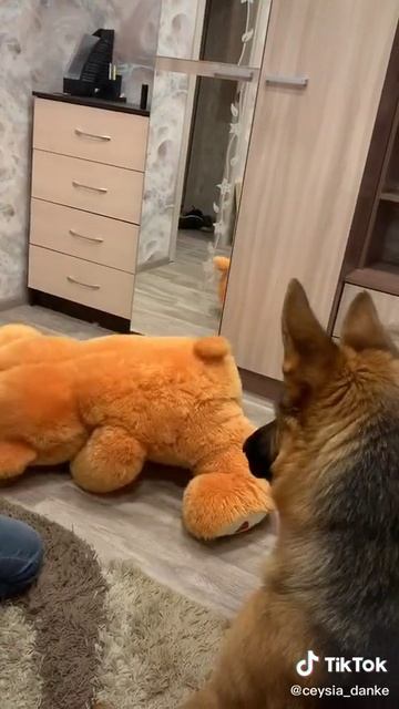 Download (1)*** смотреть онлайн