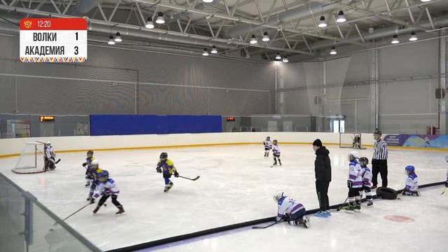 СХФ ЮНИОР 3х3. ПОЛЕ №2 "ТИТАНОВСКИЕ ВОЛКИ" - "LG АКАДЕМИЯ" смотреть онлайн