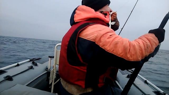 Морская рыболка смотреть онлайн