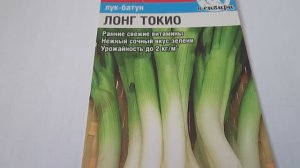 Лук  Лонг Токио  Семена