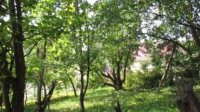 От мыслей о мае... смотреть онлайн