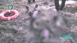 Смертельный улов: трое старооскольцев за сутки утонули в нашем округе