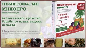 Нематофагин Микопро - лучшее биологическое средство от всех видов нематод. Обзор на нематицид