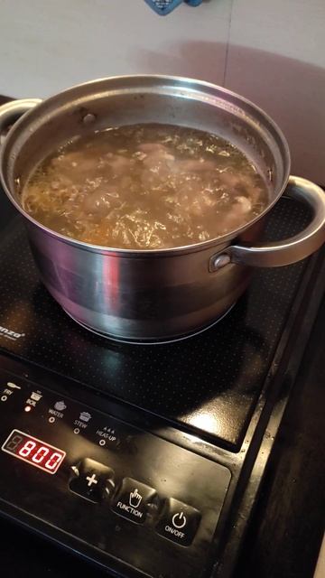 одноконфорочная индукционная плита Esperanza , режим варка супа смотреть онлайн