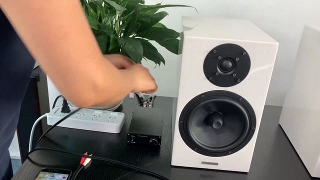 6K4 Tube Preamp