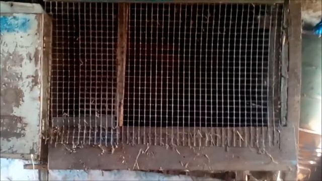 Из телятника в крольчатник . Часть 1 смотреть онлайн