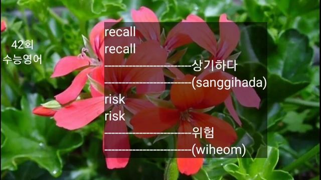 42회 수능영어단어 / 자면서 듣는 수능영어 2000개 단어 / 5개씩 반복듣기 / 미드 외운단어가 들려요 / Learn Korean / English words смотреть онлайн