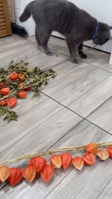 Декор для дома своими руками смотреть онлайн