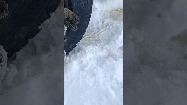 Джили МК обзор Автомобиля Geely MK