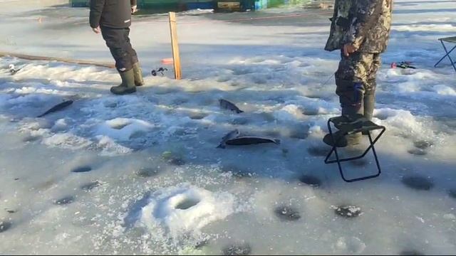 WhatsApp Video 2025-03-09 at 11.02.48 смотреть онлайн