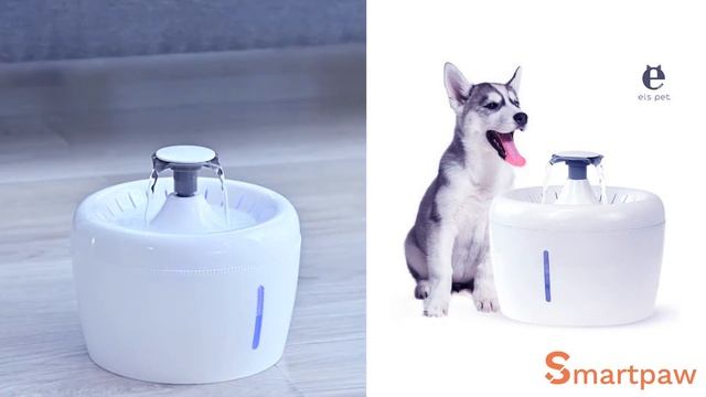 ELSPET Apple Pet Fountain Smartpaw Pet Online Store Singapore ( How To Set It Up ) смотреть онлайн