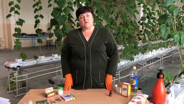 Практикум для специальности 35.02.05 Агрономия "Обработка огурцов от болезней" смотреть онлайн
