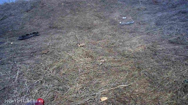 2 часть просто гуляем