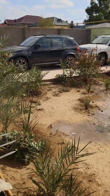 Хаш тайм на даче