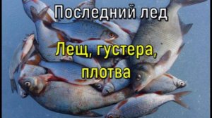 Рыбалка по последнему льду. Лещ, густера, плотва
