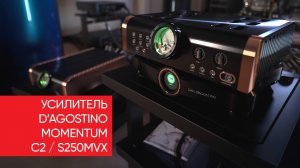 Сколько-сколько мильонов?! Усилитель D’Agostino Momentum C2 / s250MvX