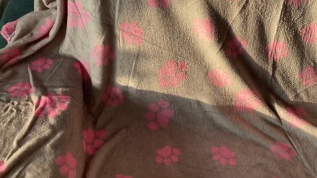 Новинка Фаберлик плед🐾милаха из коллекции “Lovely moments” смотреть онлайн