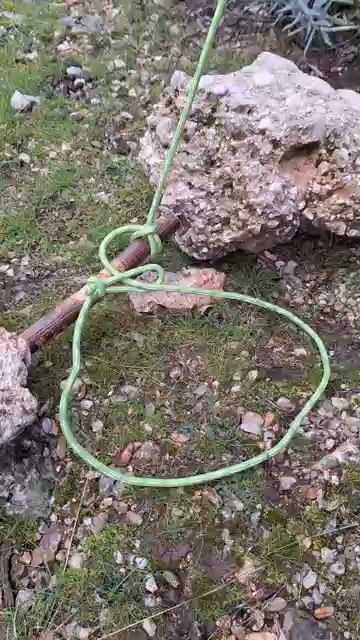 Ловушка смотреть онлайн