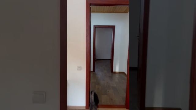 10-03-2025 смотреть онлайн