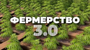 ПОЛНЫЙ гайд по ФЕРМЕРСТВУ 3.0 - Генетика, Пчелы, Куры в Rust Раст