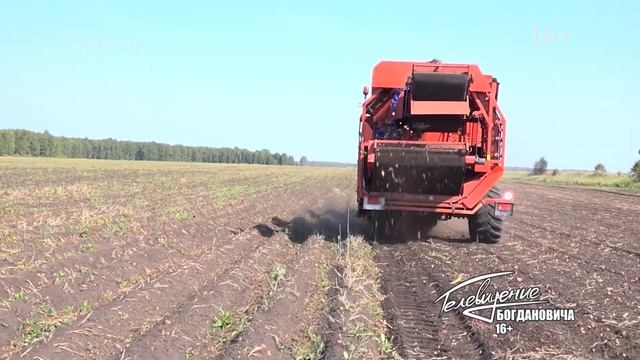 Лучшее крестьянско-фермерское хозяйство региона находится в Богдановиче. смотреть онлайн