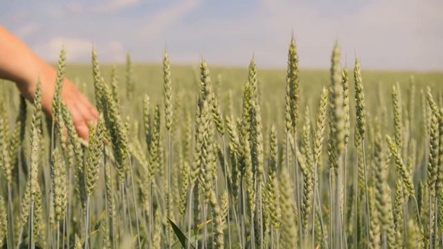 практика 02-2