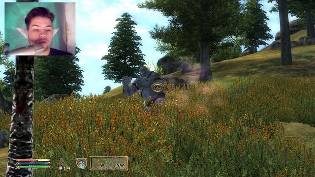 The Elder Scrolls IV:Oblivion №202 Попали в мир Шеогората смотреть онлайн