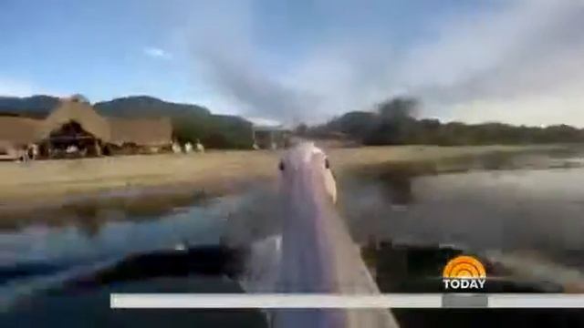 Camera Strapped To Pelican Shows Incredible Flight At Tanzania Resort смотреть онлайн