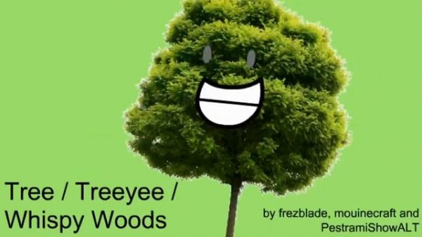 BFDI Auditions, but with realistic assets