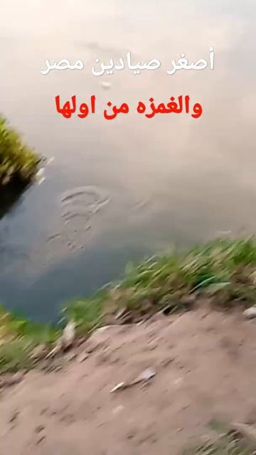 عالم المتعه والاثاره صيد السمك بالسناره #fishing смотреть онлайн