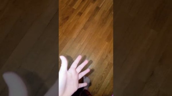 Прода👍👍👍👍