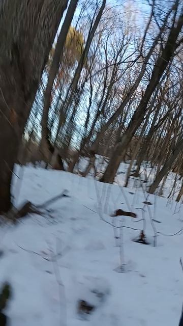 я Максим спускаюсь на Волгу часть 3/6 смотреть онлайн