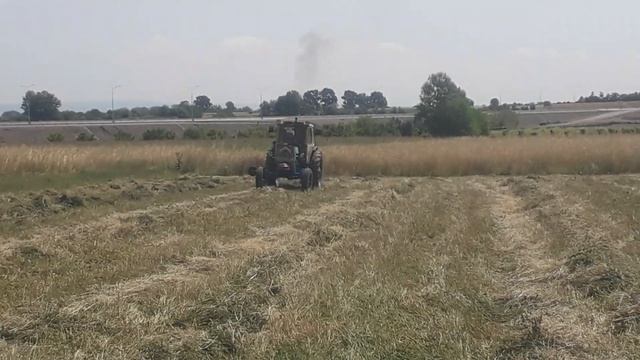 Трактор ЮМЗ Траву в поле собирают
