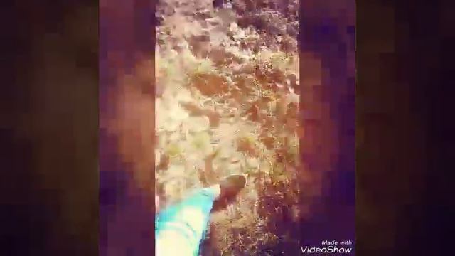 На горке с любимой лучшей подругой))-кот или верблюд??? смотреть онлайн