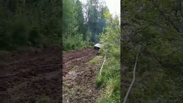 Тяжолая вывозка леса смотреть онлайн