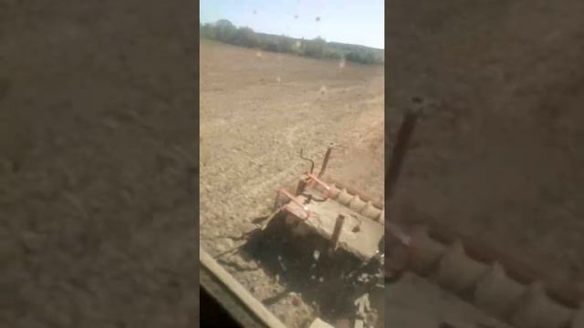 Посевная 2019 смотреть онлайн