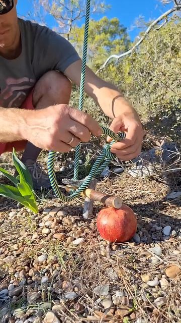 Простая-ловушка-на-зверя_-птицу смотреть онлайн