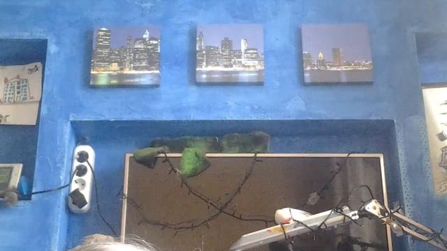 Басик отобрал у малыша кмндер! Променял киндер на 5шоколадок! смотреть онлайн