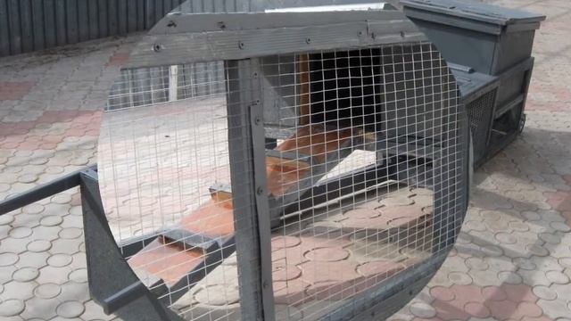 Трактор для цыплят (chicken tractor ) смотреть онлайн