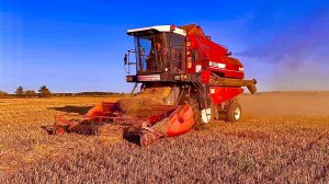 Палессе GS812 Молотим ячмень и пшеницу